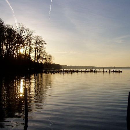 Ferienwohnungen Am Werbellinsee ชอร์ฟไฮด์ ภายนอก รูปภาพ